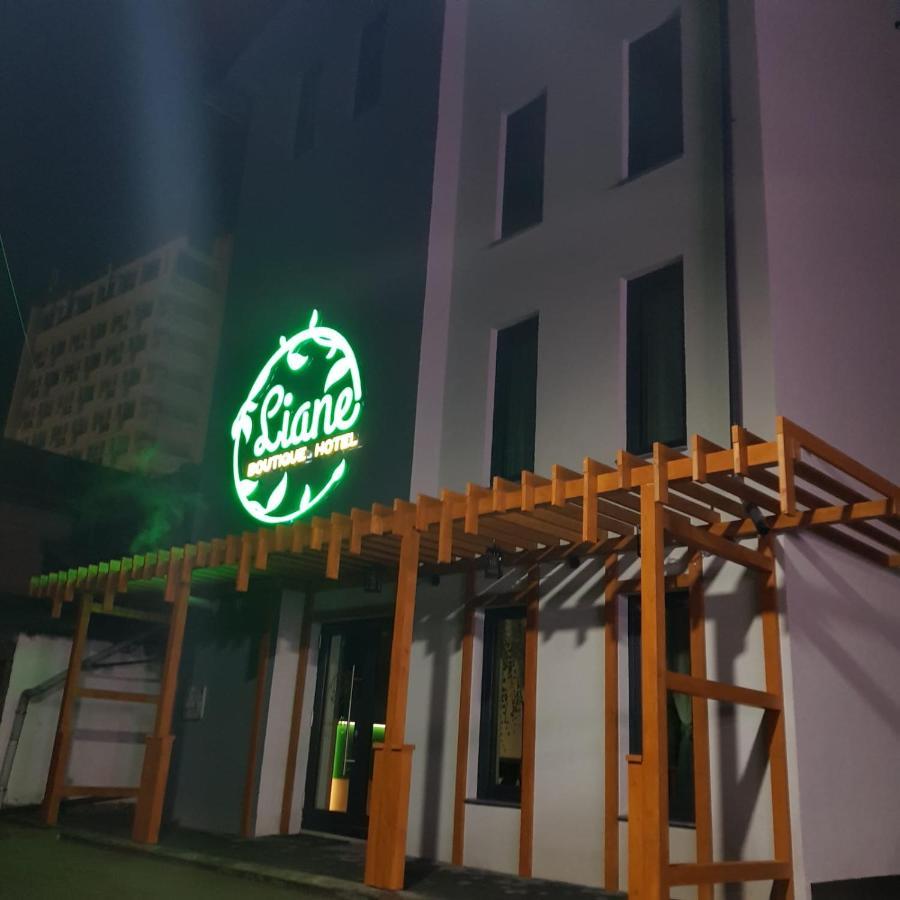 Liane Boutique Hotel Câmpulung Moldovenesc Buitenkant foto